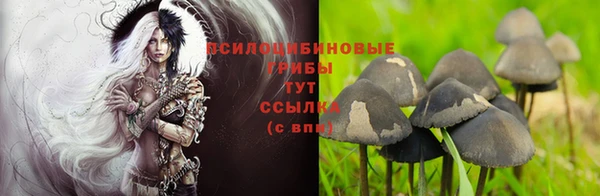 кристаллы Липки