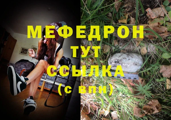 молекула духа Лагань