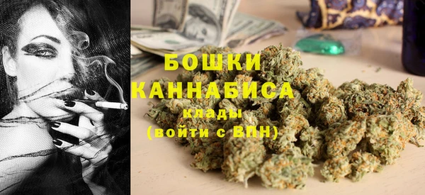 молекула духа Лагань