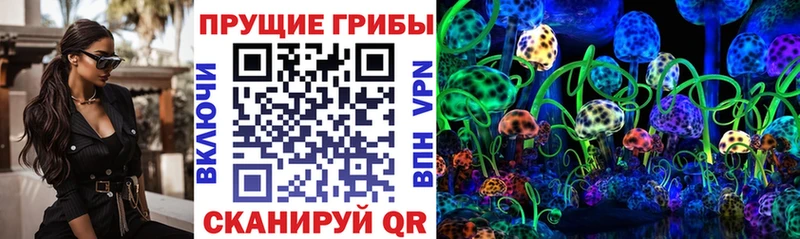 Галлюциногенные грибы Psilocybe  сколько стоит  Липецк 